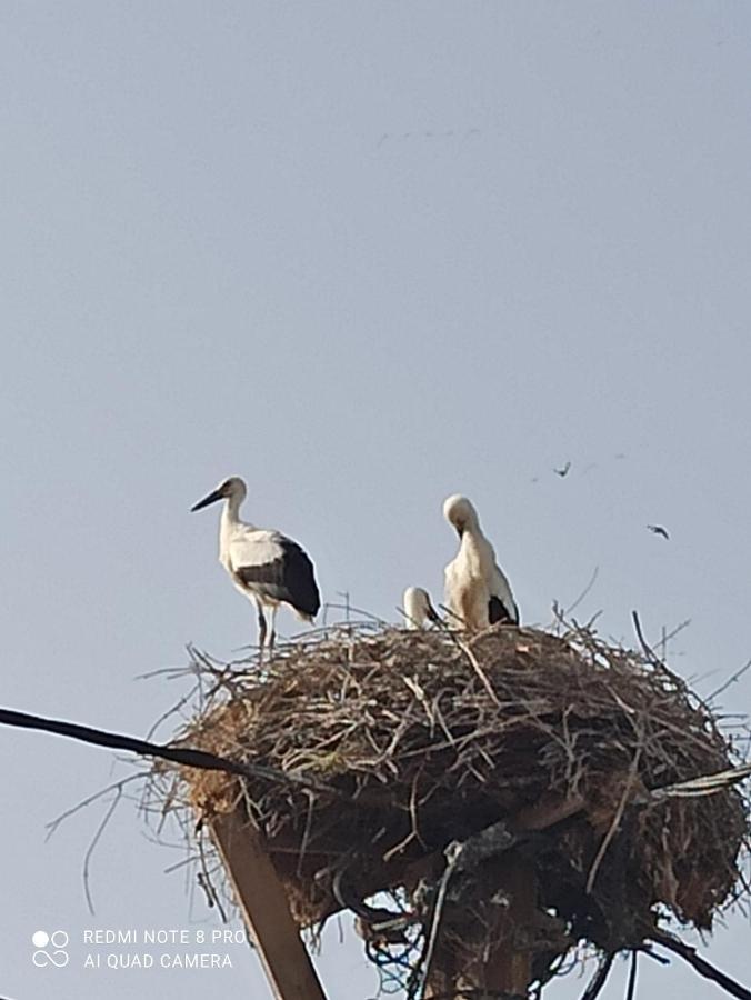 Angel'S Houses سكالا كالونيس المظهر الخارجي الصورة